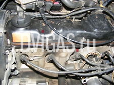 Motor f