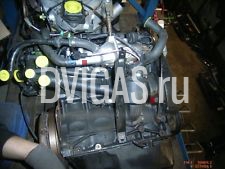 Motor VW Polo (6N1) 55 1.3 40 kW MKB: ADX