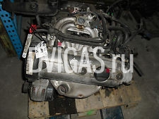 VW Polo 6N1 1.3 55 PS, Motorcode ADX, Benzin Motor, 80 Tkm