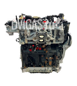 Motor 17.000km für Audi Cupra VW SQ2 Q2 Golf T-Roc 2,0 TFSI DNF DNFC 06Q100031E