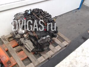MOTOR KOMPL. Volkswagen Tiguan (AD1) SUV 2.0 TDI 16V 4Motion (CUAA) 2019