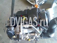 VW TRANSP/CARAVELLE Motor - 1.9TDI - BRS 07241/5TR/FOTO - Bj 2009 - 160000 km